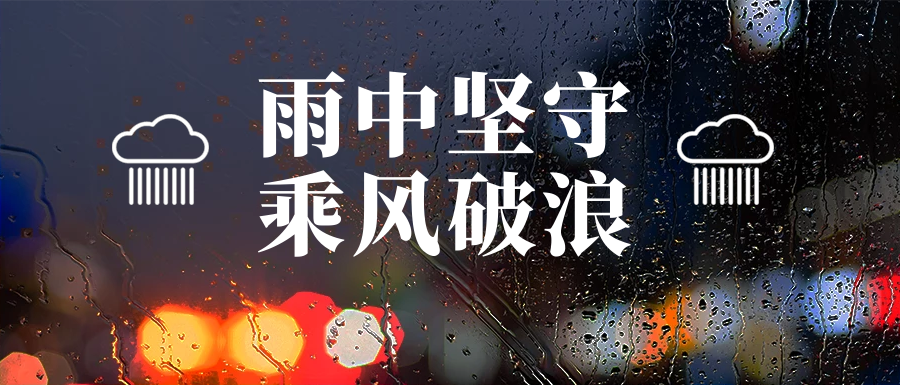 雨中堅守護家園，筑牢汛期安全墻(圖8)
