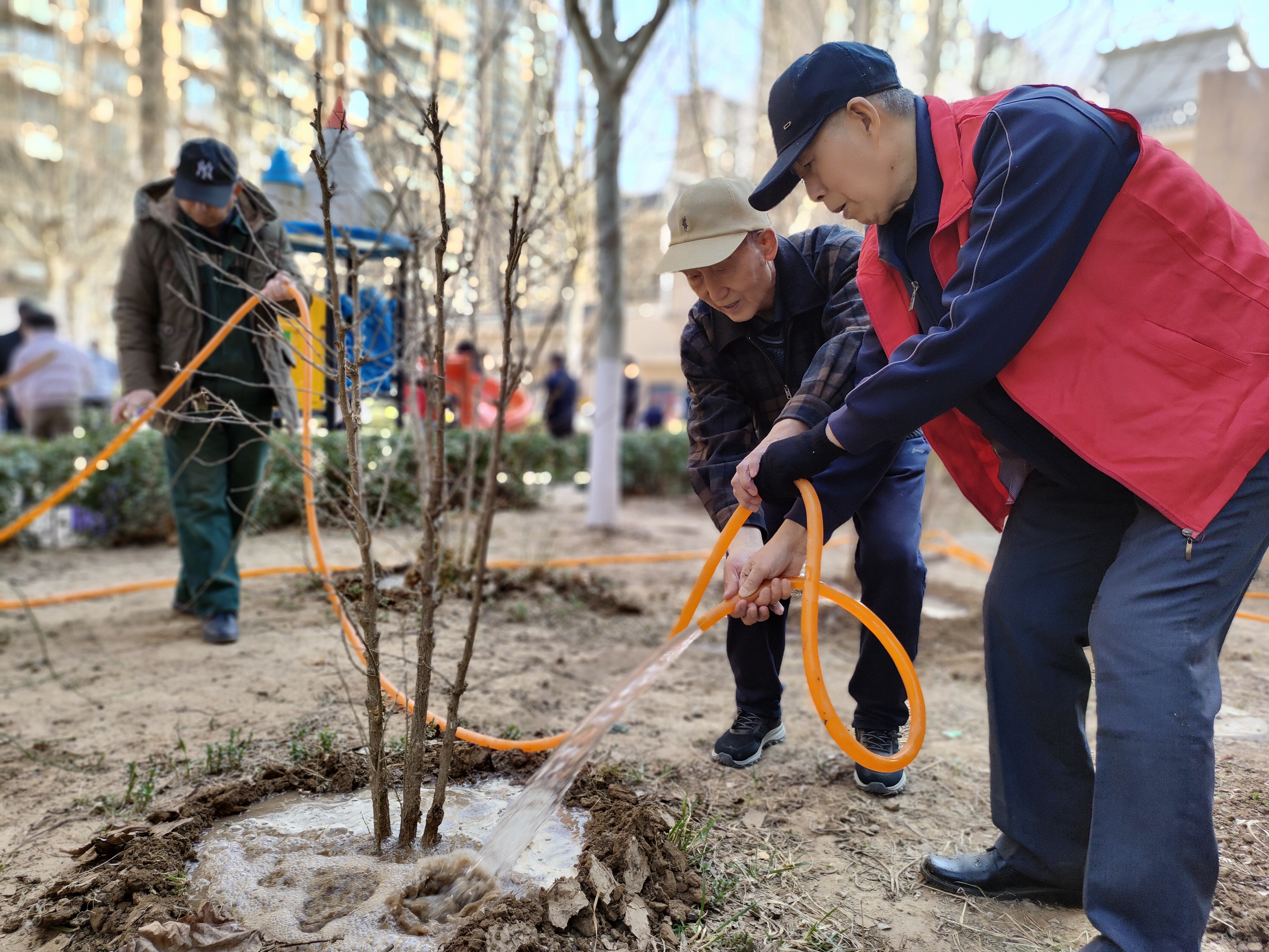 和美睦鄰+ | 隆泰物業(yè)綠色家園植樹節(jié)活動(dòng)精彩有你(圖3)