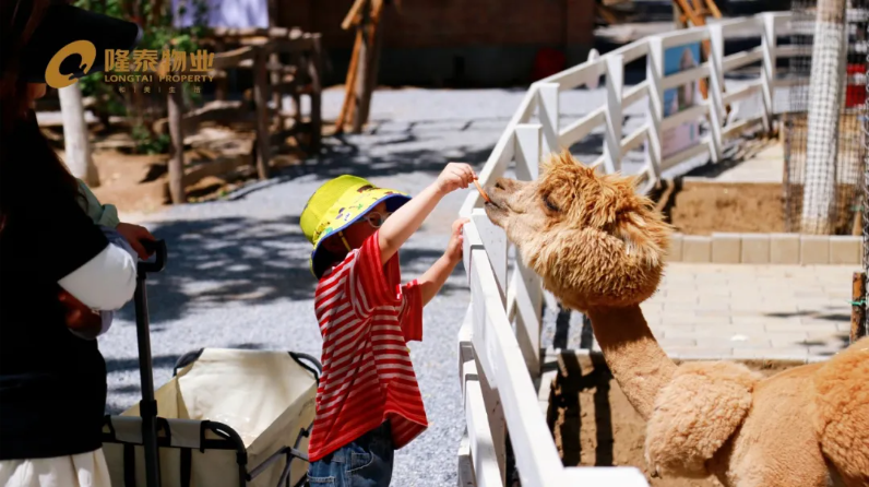 以家之名·與愛同行  隆泰物業(yè)員工家庭日主題活動(dòng)“童”樣精彩(圖4)